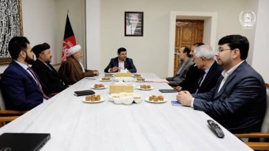 تصویر از دیدار روئسای احزاب همسؤ با رئیس عمومی اداره امور ریاست جمهوری اسلامی افغانستان