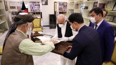 تصویر از گزارش بی‌بی‌سی اسناد تاریخی قبل از حمله مغول را از غور به ارگ رساند